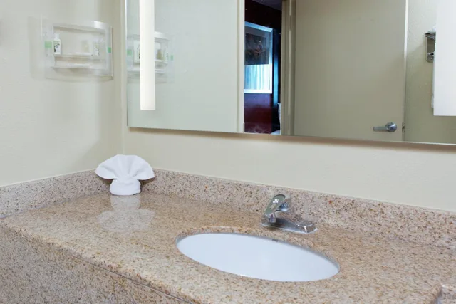 جناح بسرير كينج مع أريكة، Holiday Inn Shreveport Downtown, an IHG Hotel 2/2