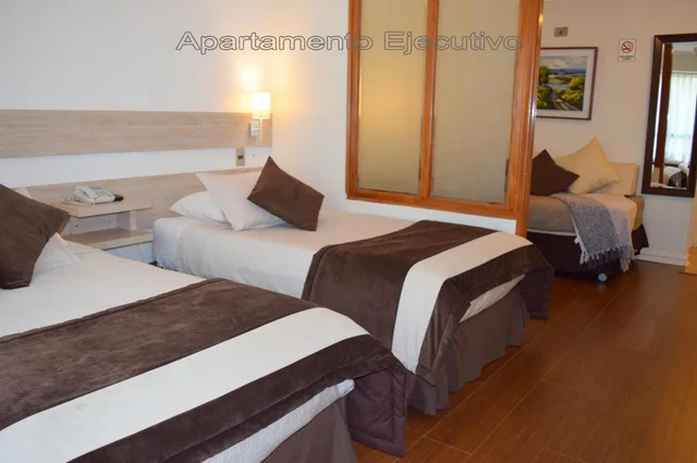 غرفة تنفيذية بسريرين منفصلين، Aparthotel Cambiaso 3/10