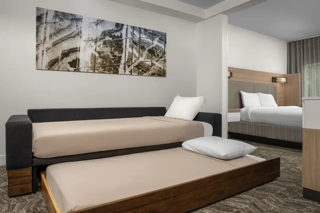 جناح بسرير كينج مع أريكة، Springhill Suites Atlanta Buford Mall of Georgia 7/10