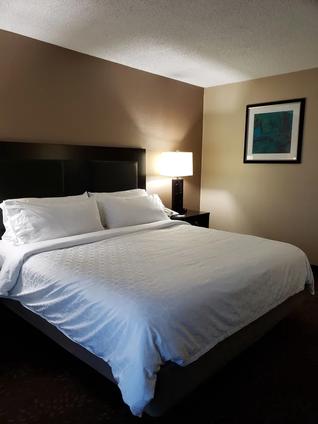 غرفة قياسية بسرير فردي، Holiday Inn Express Detroit-Birmingham 2/3