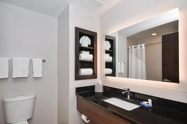 1 Bedroom, Suite, King Bed, Sofa, Holiday Inn Express Suites Charlotte Southeast Matthews 2/2