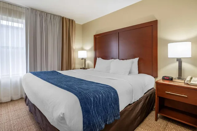 Suite, King Bed, Sofa, Comfort Inn & Suites Northern Kentucky 3/5
