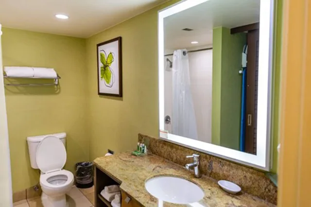 غرفة قياسية بسرير كينج، HOLIDAY INN SAN JOSE - SILICON VALLEY 3/8