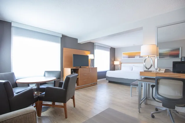 غرفة بريميوم بسرير كينج لذوي الإعاقة، Holiday Inn St Louis Sw Route 66 3/6