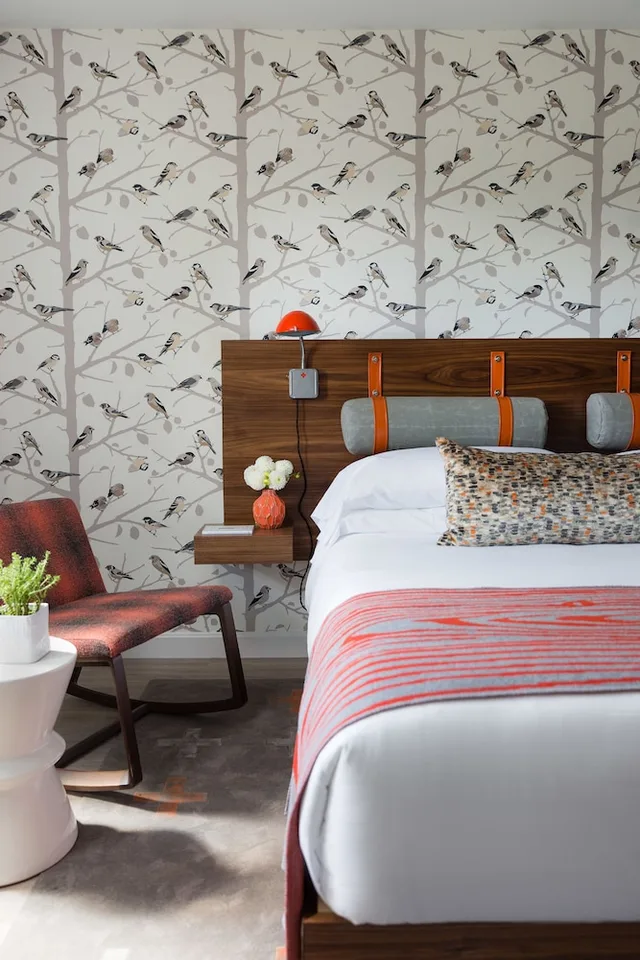 Lodge, King Bed، Field Guide Lodge 5/6