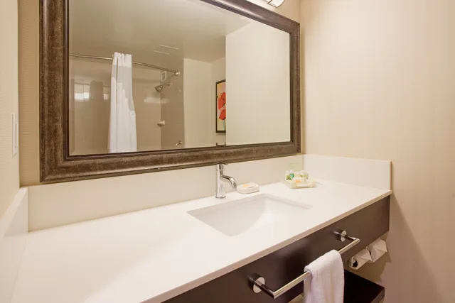 غرفة قياسية بسرير كينج، Holiday Inn Vancouver Centre 6/7