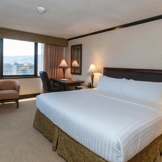 Executive, Double Bed, City View, Delta Hotels by Marriott San Jose Aurola 4/7