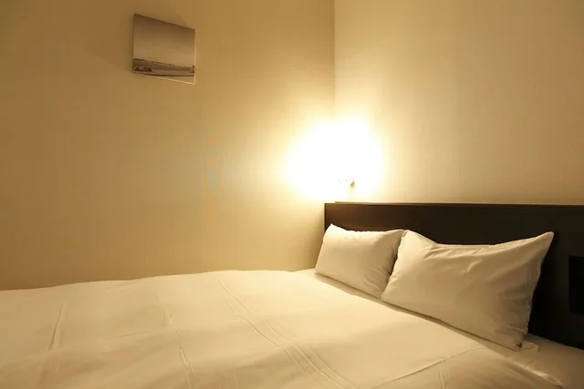 غرفة مفردة بسرير مزدوج، Business Hotel Sunp 1/1