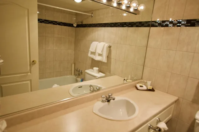 جناح بريميوم ركني بسريرين منفصلين بمطبخ، Century Plaza Hotel & Spa 9/10