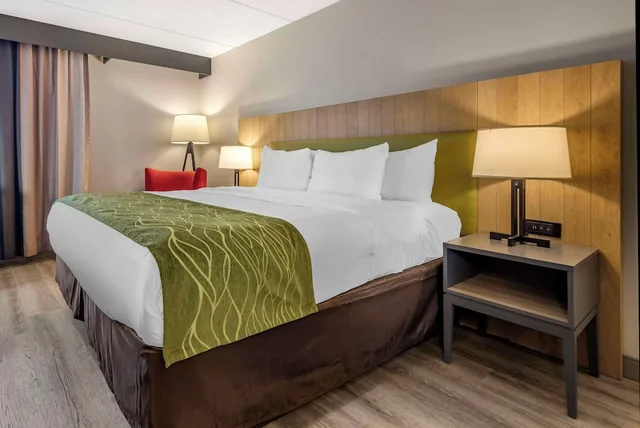 غرفة قياسية بسرير كينج، Comfort Inn & Suites Liverpool - Syracuse North 4/6