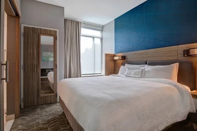 جناح بسرير كينج مع أريكة، SpringHill Suites by Marriott Orangeburg 1/5