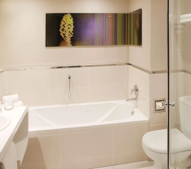Standard, Queen Bed, Smoking, Garden Court Sandton City 9/10