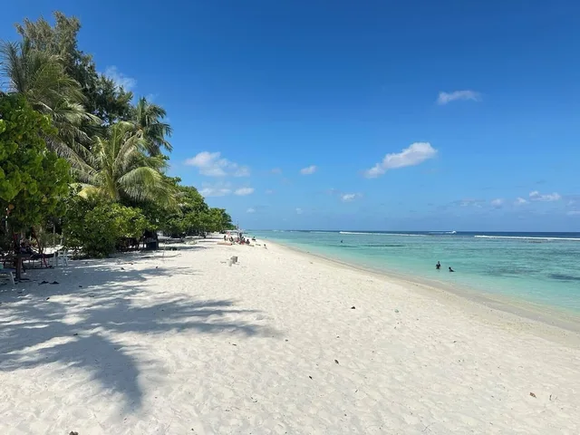 Ripple Beach Inn، Male 43/50