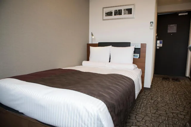 Semi Room, Standard, Semi Double Bed، Hotel Mystays Asakusabashi 10/11