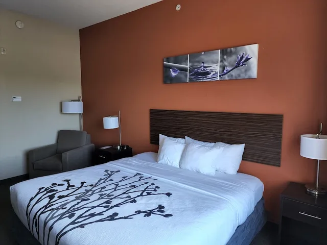 غرفة قياسية بسرير كينج، Sleep Inn & Suites Dyersburg I-155 5/7