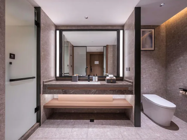 جناح ديلوكس بسرير مزدوج وسرير فردي، Novotel Hangzhou Xintiandi 8/8