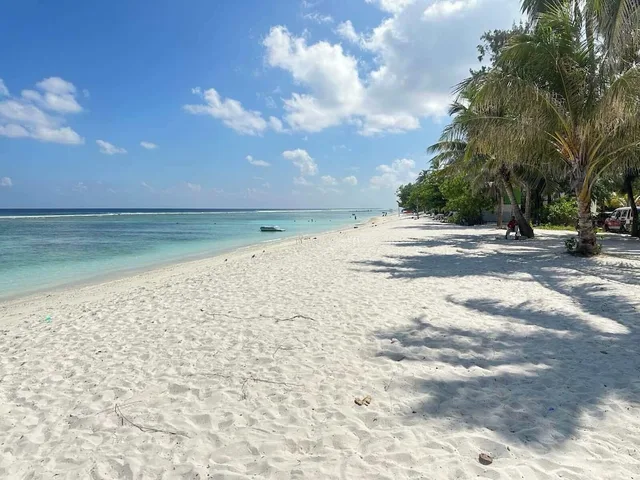 Ripple Beach Inn، Male 44/50