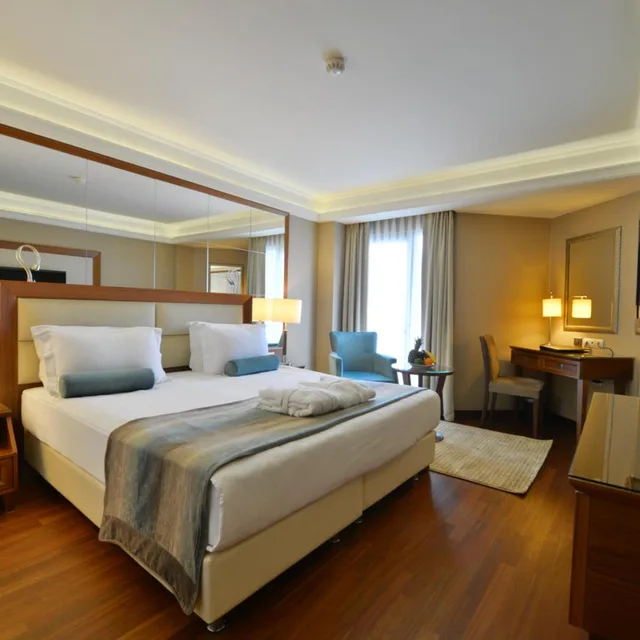 غرفة قياسية بسرير مزدوج أو سريرين منفصلين، Marigold Thermal And Spa Hotel Bursa 6/10