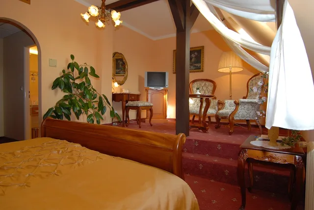 غرفة سوبيريور بسرير كوين، Hotel Opera Prague 5/8