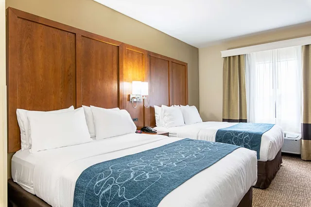 جناح بسريرين كوين، Comfort Inn & Suites Pine Bluff 1/3