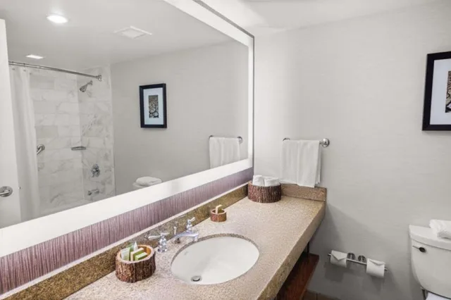 1 Bedroom, Suite, Cabin, King Bed, Sofa، Hilton Salt Lake City Center 5/5