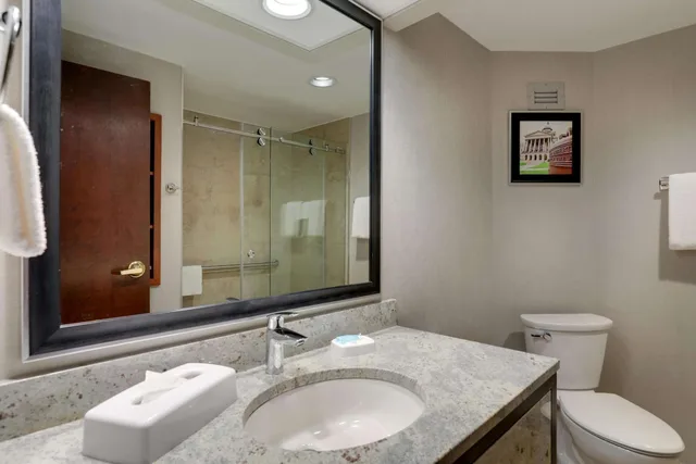 جناح بسرير كينج مع أريكة، Drury Inn and Suites Springfield IL 2/2