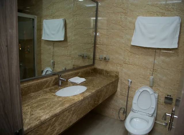 جناح رئاسي بسرير مزدوج، Maxbe Continental Hotel 2/3