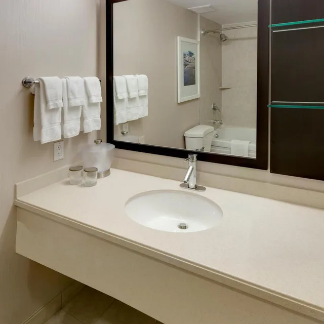 غرفة قياسية بسرير كينج وسرير كوين لذوي الإعاقة، Niagara Fallsview Hotel & Suites 2/3