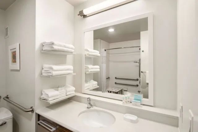 استوديو بسرير كينج لذوي الإعاقة، Hampton Inn & Suites Lavonia 4/4