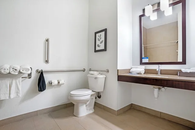 جناح بسرير كينج مع أريكة لذوي الإعاقة، Comfort Inn & Suites Slidell - New Orleans Area 3/3