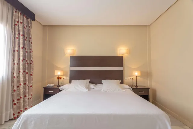 غرفة قياسية مفردة بسرير مزدوج، Hotel Abades Benacazon 1/2