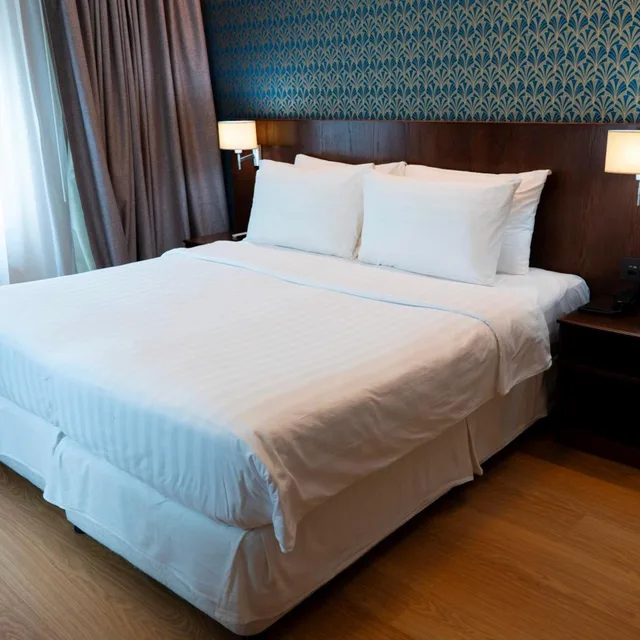 جناح، J5 Hotels Helvetie Montreux 2/5