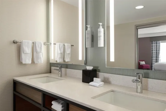 جناح ديلوكس بسرير كينج بغرفة نوم واحدة، Hilton Garden Inn Atlanta Downtown 9/10