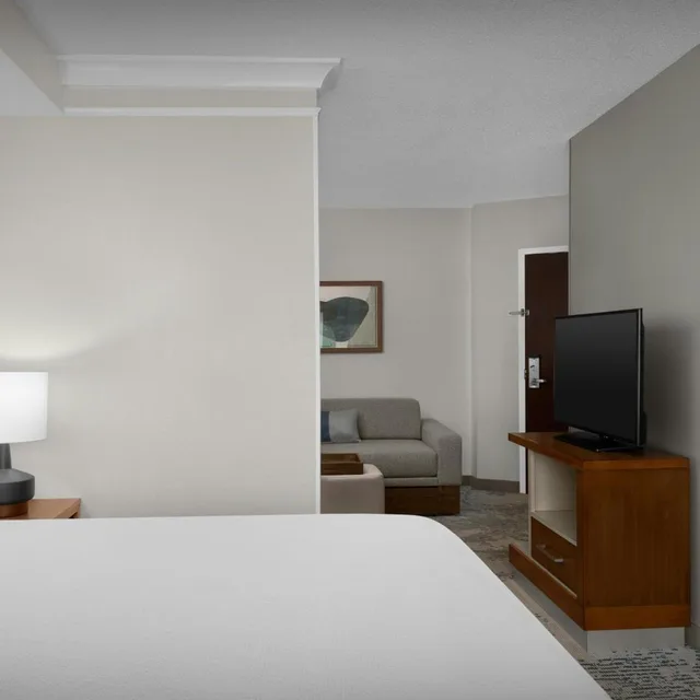 جناح بسرير كينج مع سرير سحّاب إضافي مع أريكة، Springhill Suites By Marriott Lynchburg Airport/University Area 1/5
