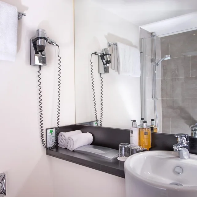 غرفة بسرير كينج، Wyndham Stuttgart Airport Messe 7/9