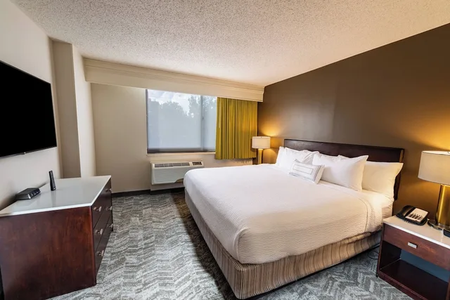 جناح بسرير كينج مع أريكة لذوي الإعاقة، Springhill Suites Houston Medical Center Nrg Park 1/2