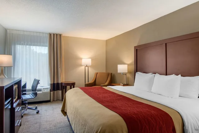 غرفة بسرير كينج لذوي الإعاقة، Comfort Inn Chester - Richmond South 1/10