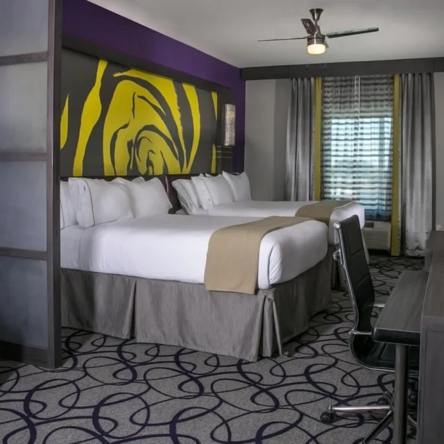 غرفة ديلوكس بسريرين منفصلين لذوي الإعاقة، Holiday Inn Express Suites Garland E Lake Hubbard I30 1/4