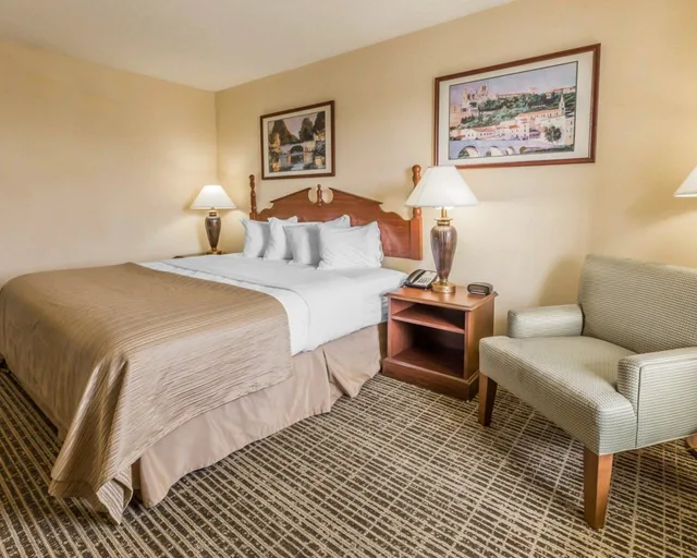 غرفة قياسية بسرير كينج للمدخنين، Rodeway Inn Sylacauga Hwy 280 3/8