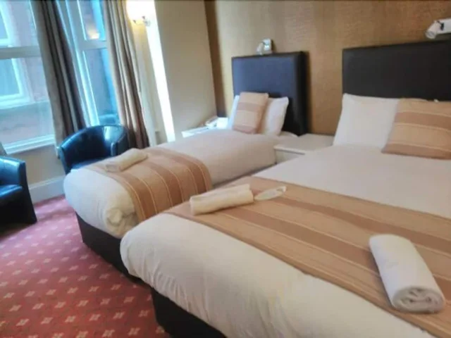 Plus, Single, King Bed، The Palm Court Hotel 3/6