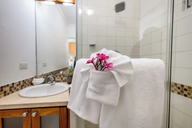 شقة بسرير مزدوج بغرفة نوم واحدة، Adulo Apartments 10/10