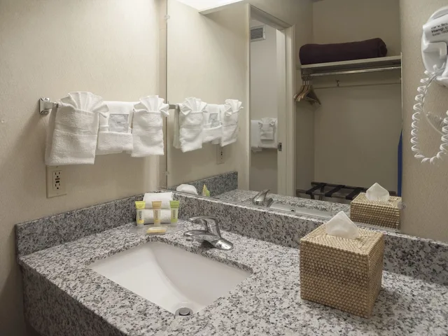 غرفة ديلوكس بسرير كينج، Inn At The Convention Center 5/6