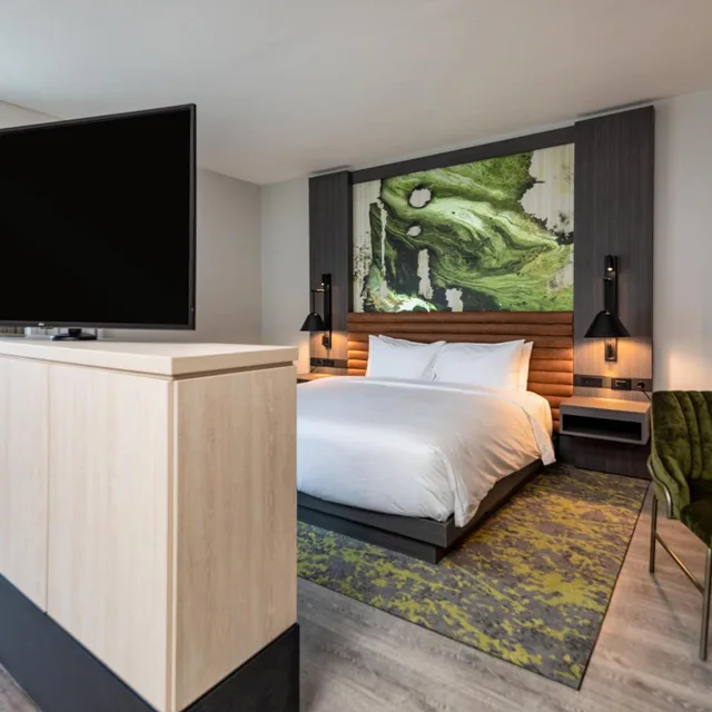 جناح بسرير كينج، Hyatt Centric Charlotte/Southpark 1/4