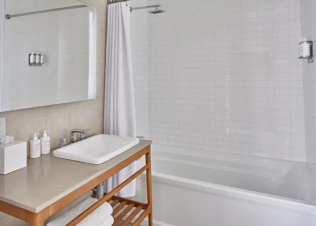 لوفت بسريرين كوين، The Sarasota Modern, a Tribute Portfolio Hotel 5/5