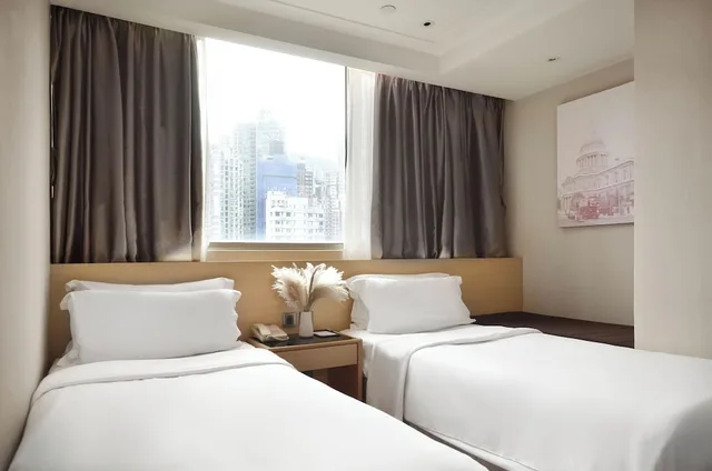 Deluxe, Queen Bed, City View, Eco Tree Hotel 3/10
