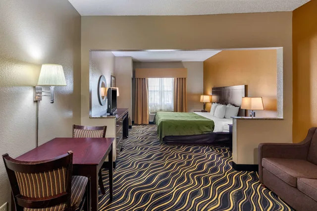 جناح بزنس بسرير كينج مع أريكة لذوي الإعاقة، Quality Suites Addison-Dallas 4/5