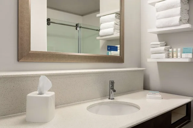 استوديو بسرير كينج مع أريكة بمطبخ صغير، Hampton Inn and Suites Minooka 4/5