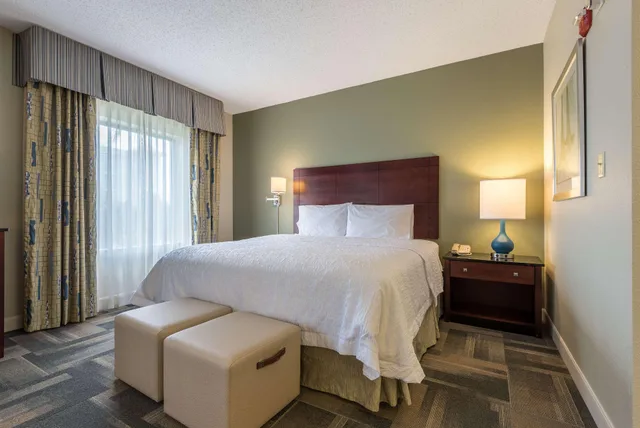 استوديو بسرير كينج، Hampton Inn & Suites Orlando-South Lake Buena Vista 1/3