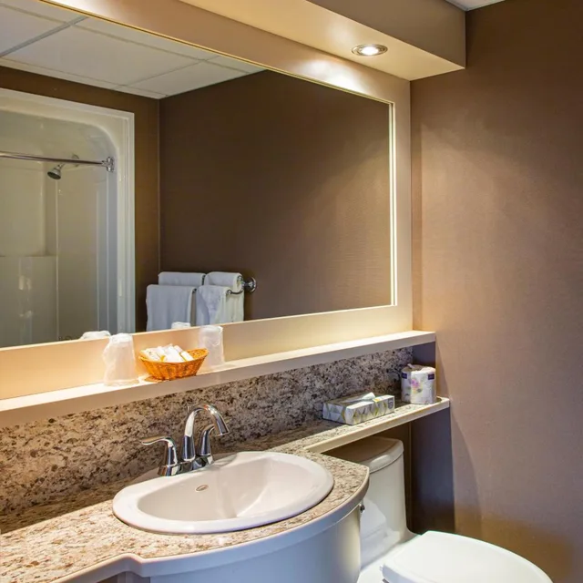غرفة قياسية بسرير كينج، Hotel L Oiseliere Montmagny 7/8