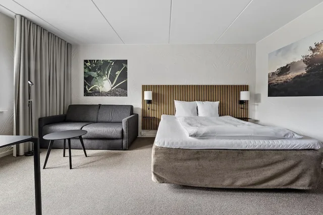غرفة سوبيريور بسرير كينج مع أريكة، Hotel Dalgas, BW Signature Collection 3/10